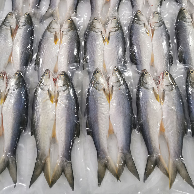 野生小午鱼(已去肚)2条装 450-500克